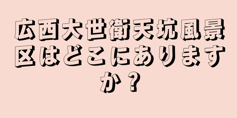 広西大世衛天坑風景区はどこにありますか？