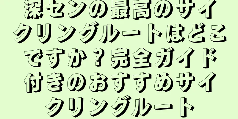 深センの最高のサイクリングルートはどこですか？完全ガイド付きのおすすめサイクリングルート
