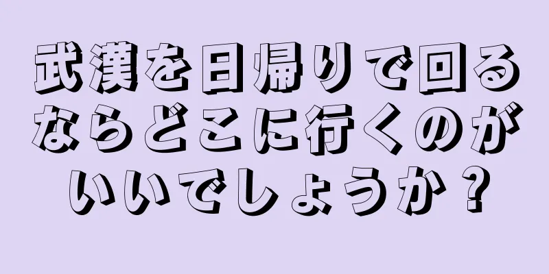 武漢を日帰りで回るならどこに行くのがいいでしょうか？