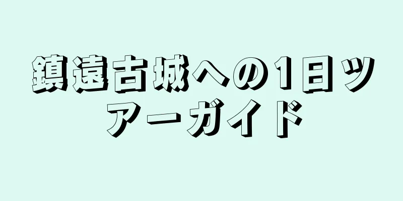 鎮遠古城への1日ツアーガイド