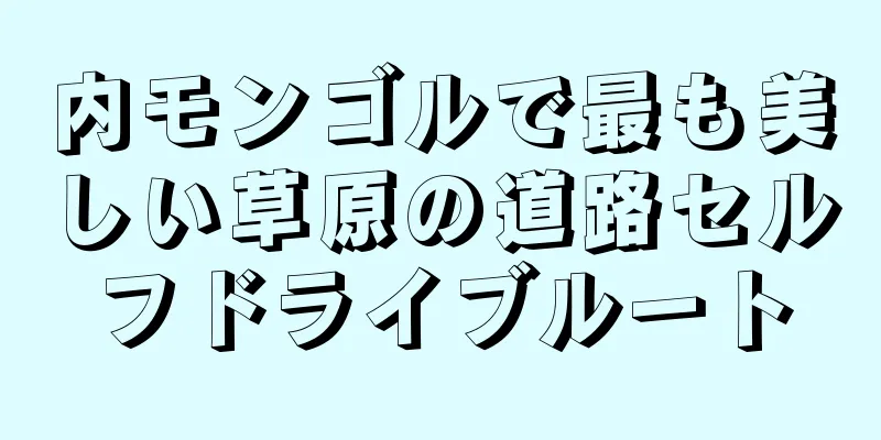 内モンゴルで最も美しい草原の道路セルフドライブルート