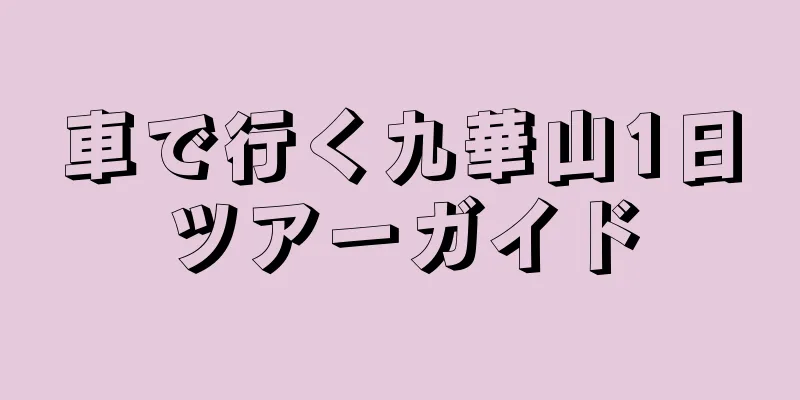 車で行く九華山1日ツアーガイド