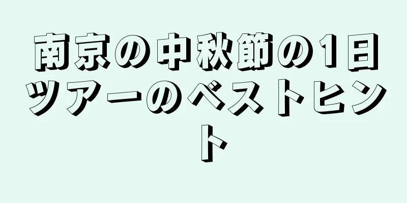 南京の中秋節の1日ツアーのベストヒント