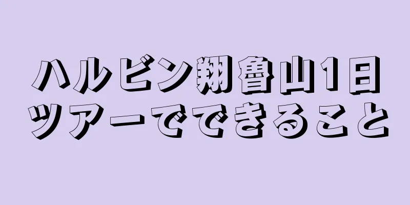 ハルビン翔魯山1日ツアーでできること