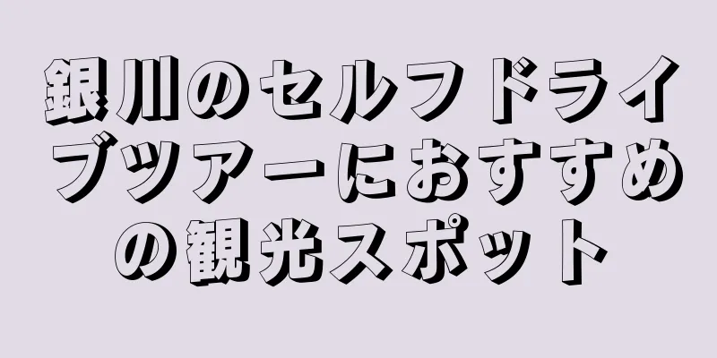 銀川のセルフドライブツアーにおすすめの観光スポット