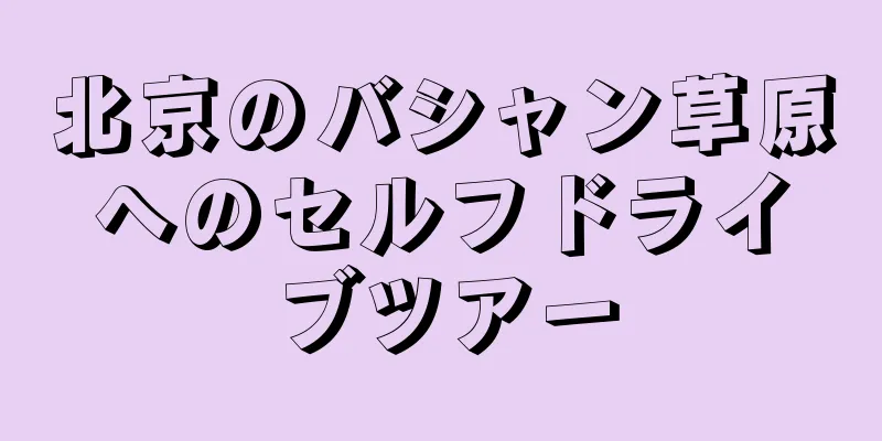 北京のバシャン草原へのセルフドライブツアー