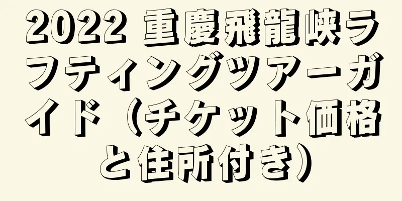 2022 重慶飛龍峡ラフティングツアーガイド（チケット価格と住所付き）