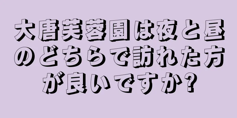 大唐芙蓉園は夜と昼のどちらで訪れた方が良いですか?