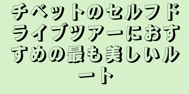 チベットのセルフドライブツアーにおすすめの最も美しいルート
