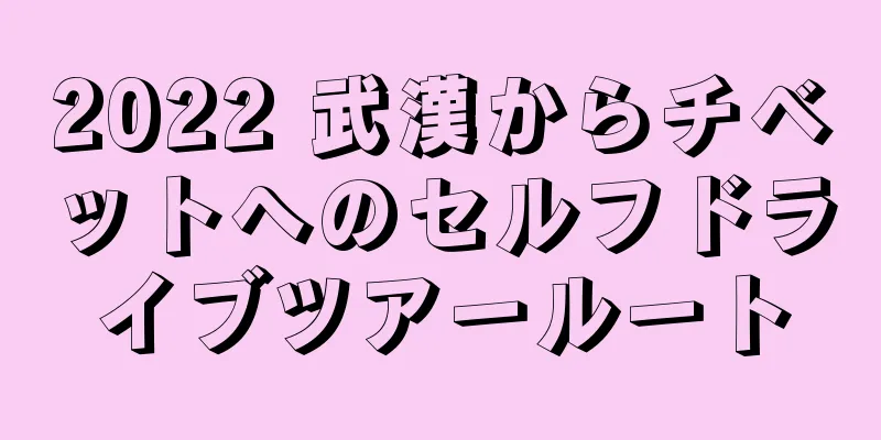 2022 武漢からチベットへのセルフドライブツアールート