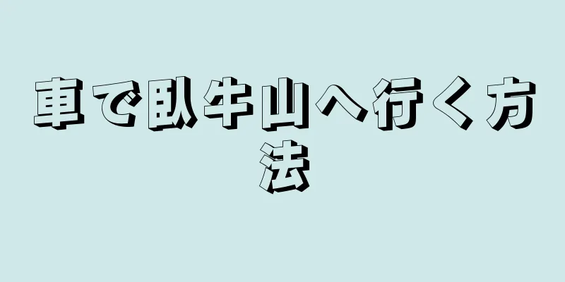 車で臥牛山へ行く方法
