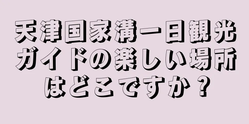 天津国家溝一日観光ガイドの楽しい場所はどこですか？
