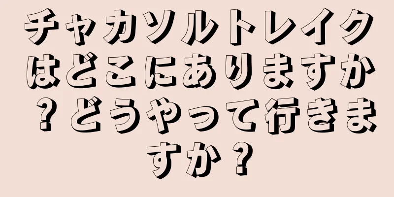 チャカソルトレイクはどこにありますか？どうやって行きますか？