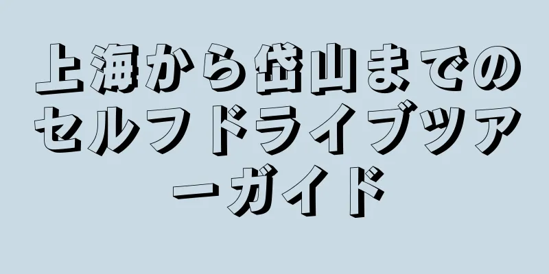 上海から岱山までのセルフドライブツアーガイド