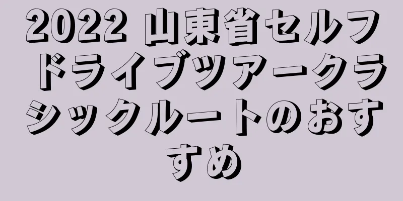2022 山東省セルフドライブツアークラシックルートのおすすめ