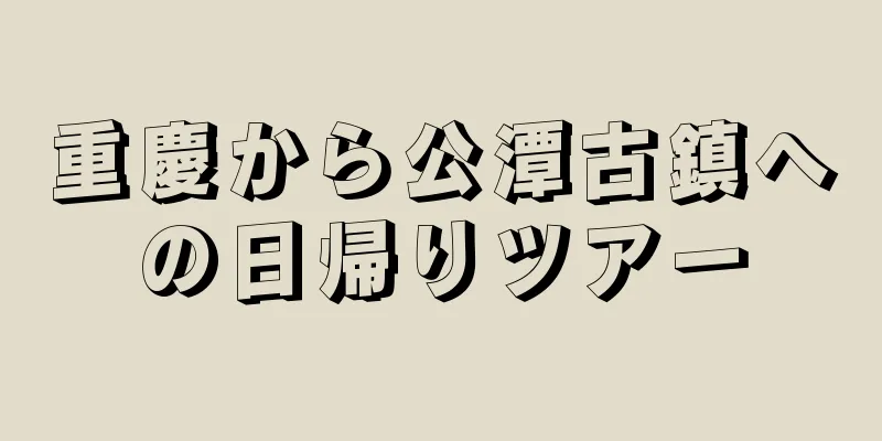 重慶から公潭古鎮への日帰りツアー