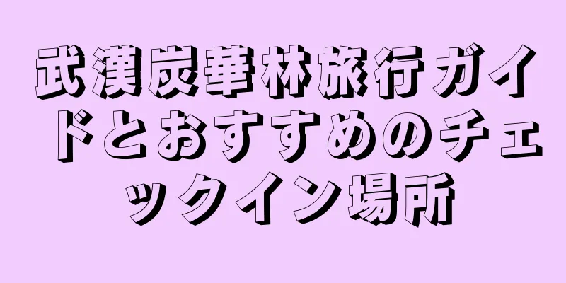 武漢炭華林旅行ガイドとおすすめのチェックイン場所