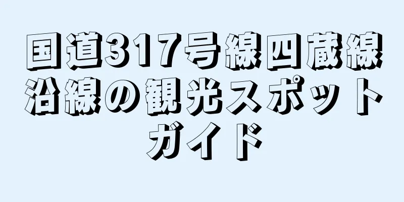 国道317号線四蔵線沿線の観光スポットガイド