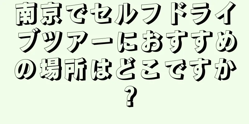 南京でセルフドライブツアーにおすすめの場所はどこですか？
