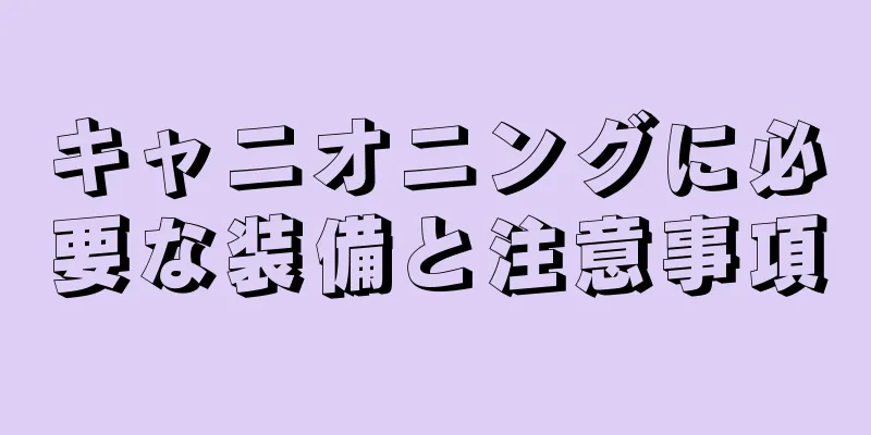 キャニオニングに必要な装備と注意事項