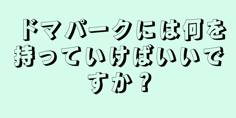 ドマパークには何を持っていけばいいですか？