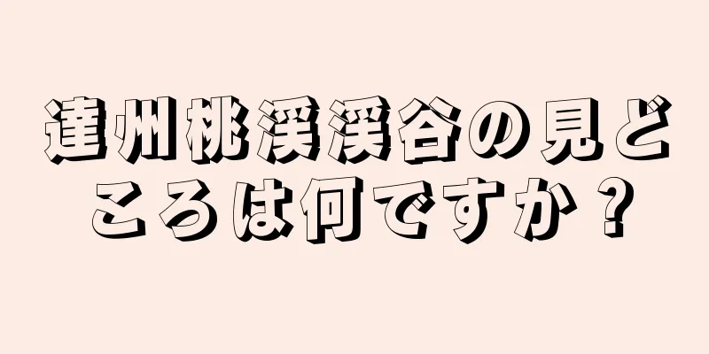 達州桃渓渓谷の見どころは何ですか？