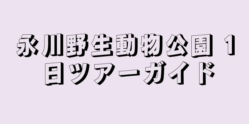 永川野生動物公園 1 日ツアーガイド
