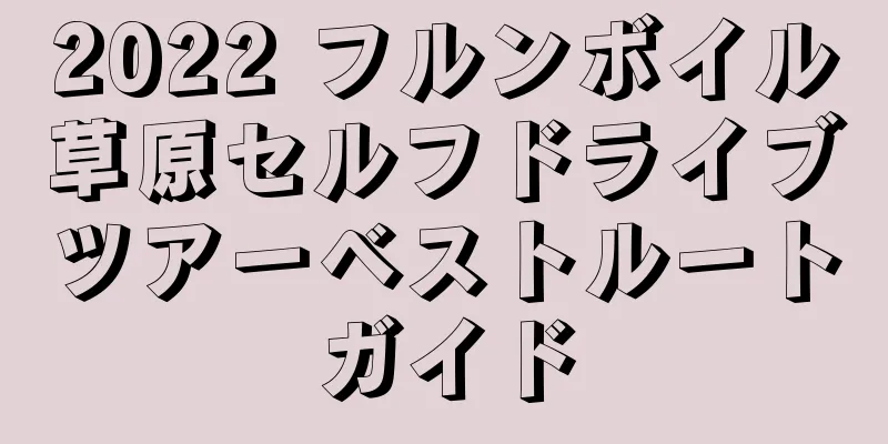 2022 フルンボイル草原セルフドライブツアーベストルートガイド