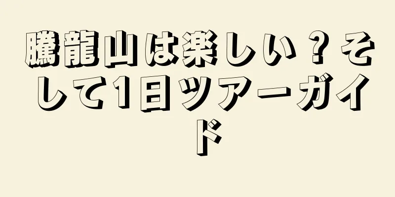 騰龍山は楽しい？そして1日ツアーガイド