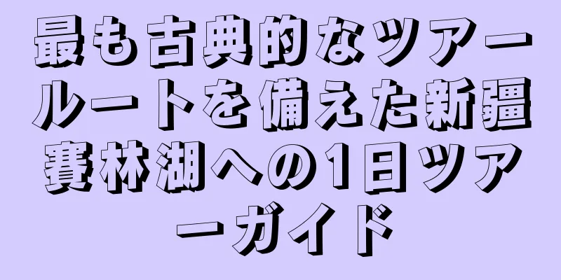最も古典的なツアールートを備えた新疆賽林湖への1日ツアーガイド