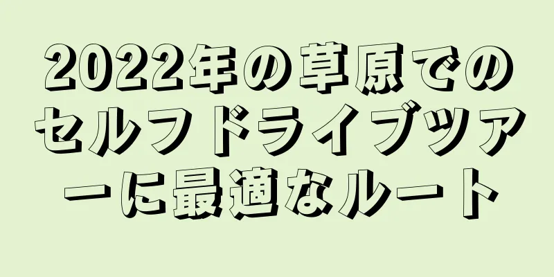 2022年の草原でのセルフドライブツアーに最適なルート