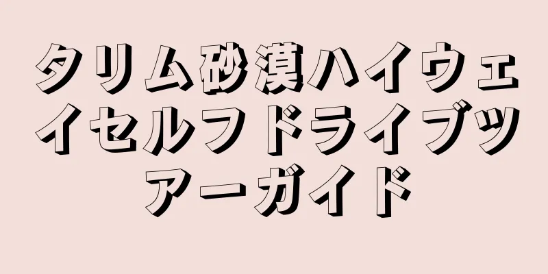 タリム砂漠ハイウェイセルフドライブツアーガイド