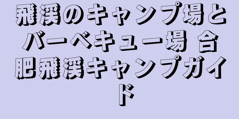 飛渓のキャンプ場とバーベキュー場 合肥飛渓キャンプガイド