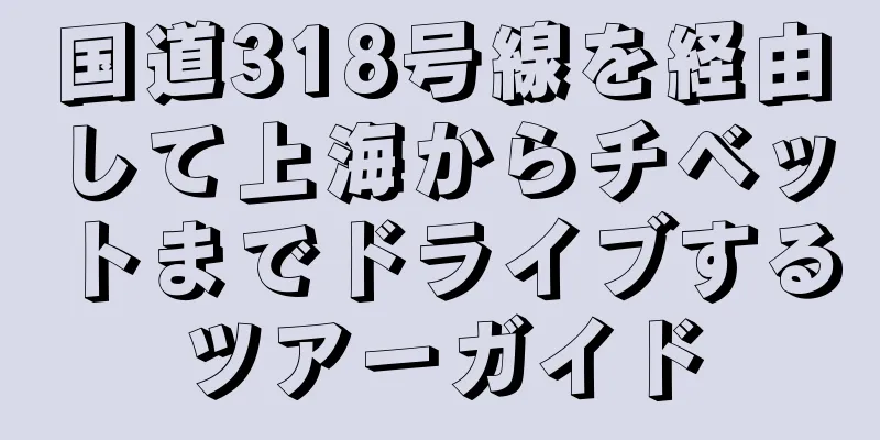 国道318号線を経由して上海からチベットまでドライブするツアーガイド