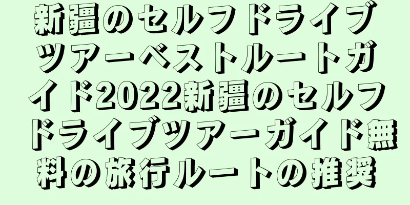 新疆のセルフドライブツアーベストルートガイド2022新疆のセルフドライブツアーガイド無料の旅行ルートの推奨