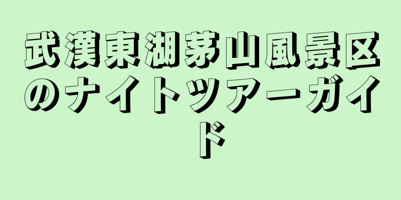 武漢東湖茅山風景区のナイトツアーガイド