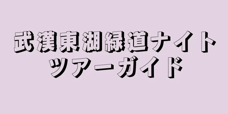 武漢東湖緑道ナイトツアーガイド