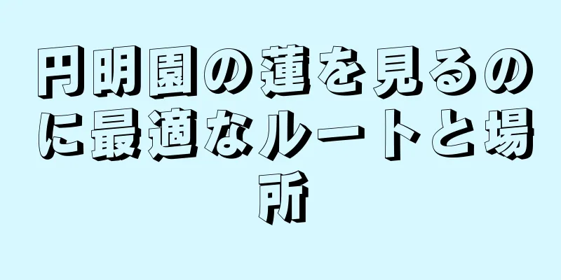 円明園の蓮を見るのに最適なルートと場所