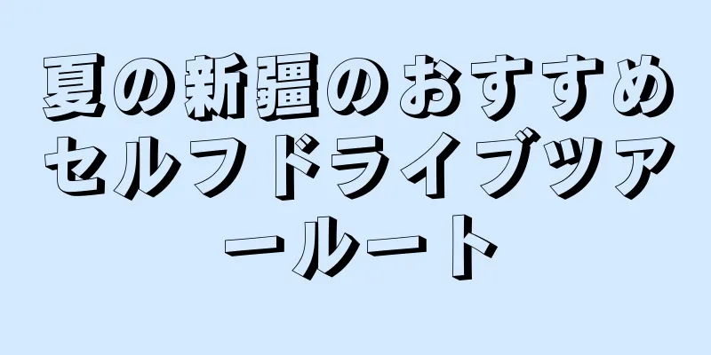夏の新疆のおすすめセルフドライブツアールート