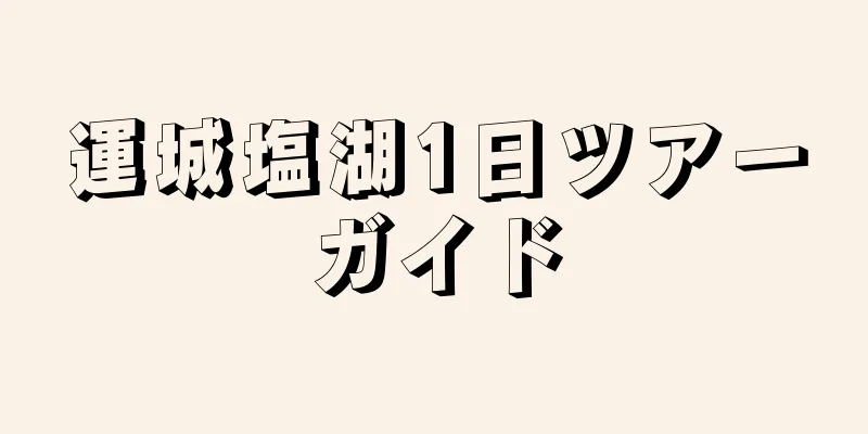 運城塩湖1日ツアーガイド