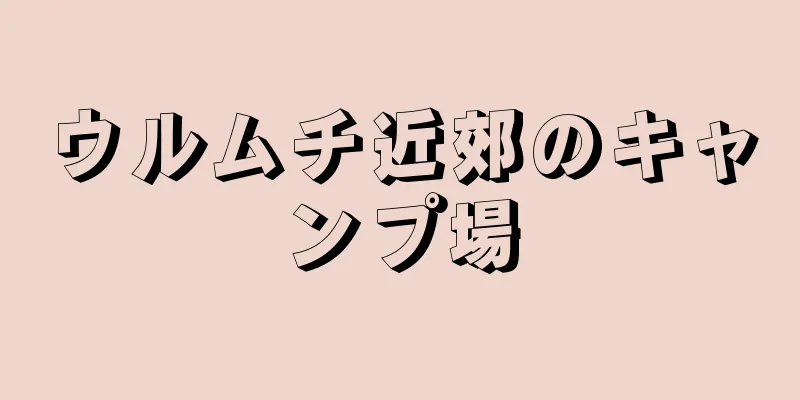 ウルムチ近郊のキャンプ場