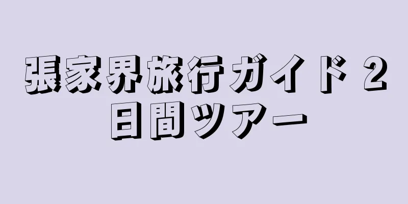 張家界旅行ガイド 2日間ツアー