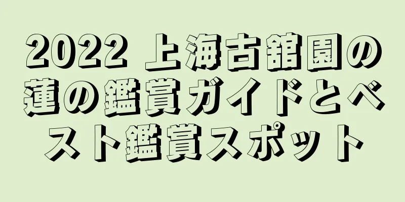 2022 上海古舘園の蓮の鑑賞ガイドとベスト鑑賞スポット