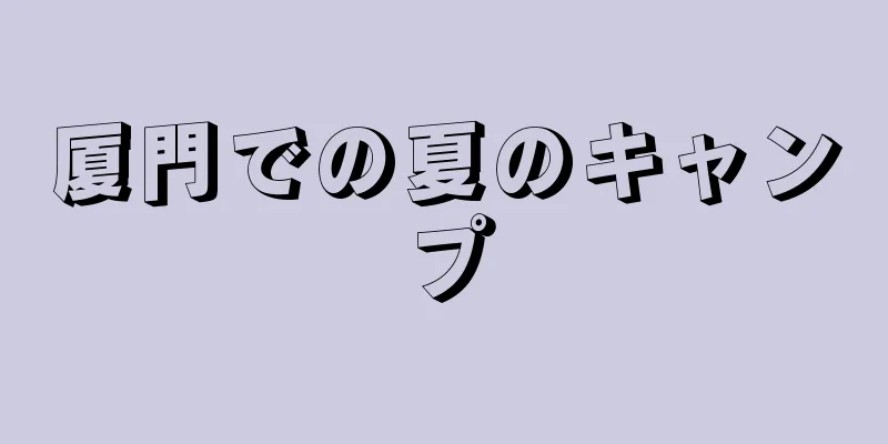 厦門での夏のキャンプ