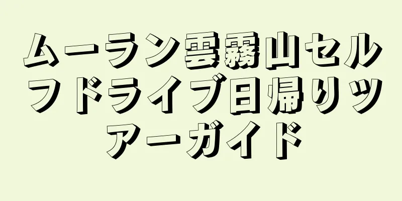 ムーラン雲霧山セルフドライブ日帰りツアーガイド