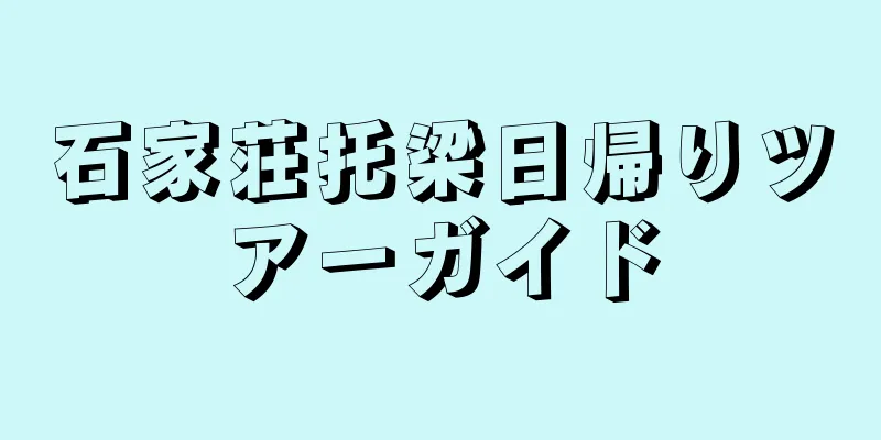 石家荘托梁日帰りツアーガイド