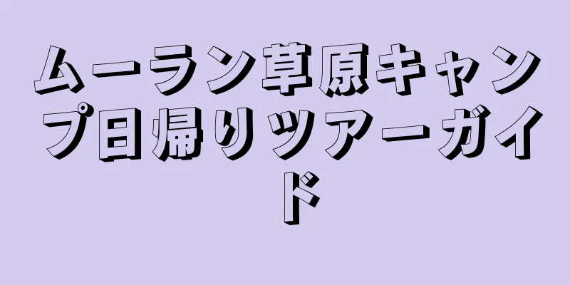 ムーラン草原キャンプ日帰りツアーガイド