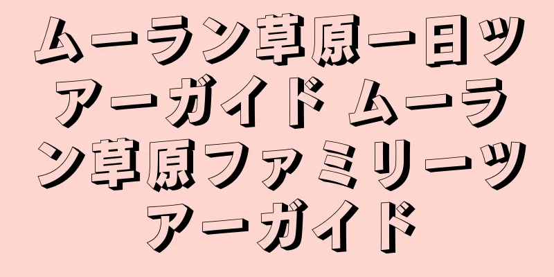 ムーラン草原一日ツアーガイド ムーラン草原ファミリーツアーガイド