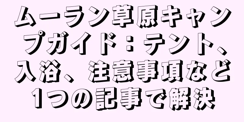 ムーラン草原キャンプガイド：テント、入浴、注意事項など1つの記事で解決