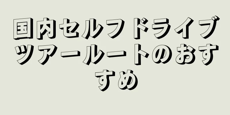 国内セルフドライブツアールートのおすすめ